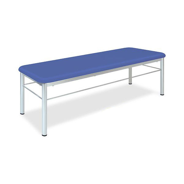 高田ベッド製作所 アカスリDX 幅65×長さ180×高さ60cm グレー TB-713 1個 63-0345-80（直送品）