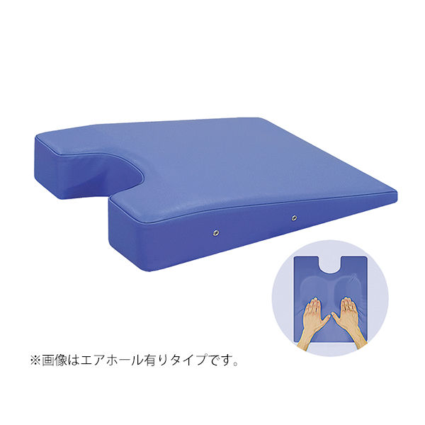 高田ベッド製作所 カラーバスト(エアホール有り) 幅42×奥行50×高さ3/11cm レッド TB-77C-146 1個（直送品）