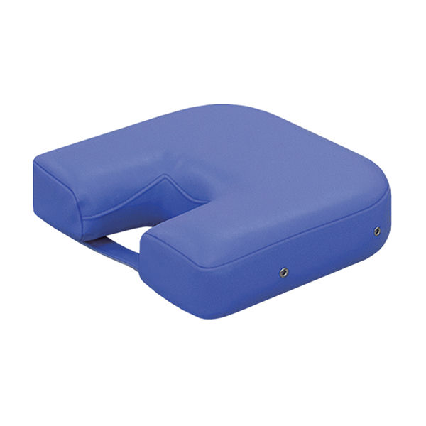 高田ベッド製作所 カラーフェイスクッション 幅30×奥行28×高さ8cm ライトグリーン TB-77C-09 1個 63-0188-85（直送品）