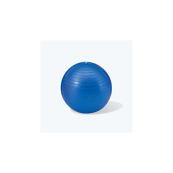 エバニュー ジムボール 35 ETB621 1個 63-2975-01（直送品）