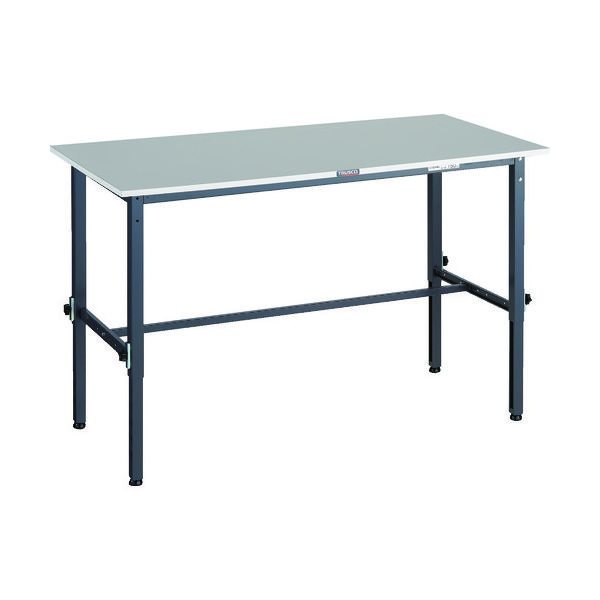 RAEM2-1560 DG（直送品）