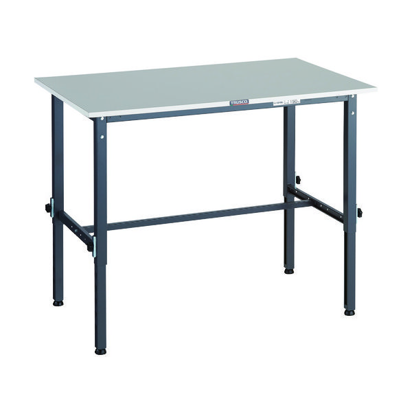 RAEM2-1260 DG（直送品）