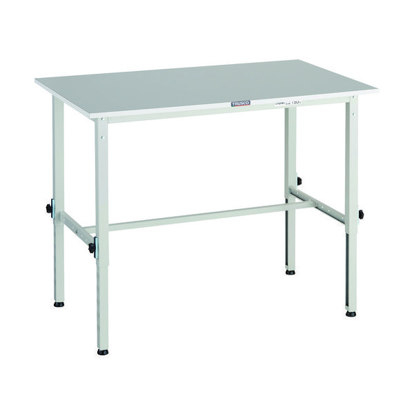 RAEM2-1260 W（直送品）