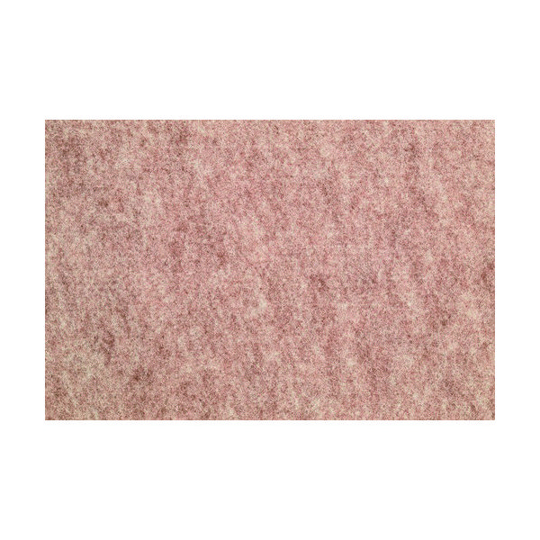 ワタナベ工業 ワタナベ エコパンチカーペット EP-506-182-20 1巻 137-2889（直送品）