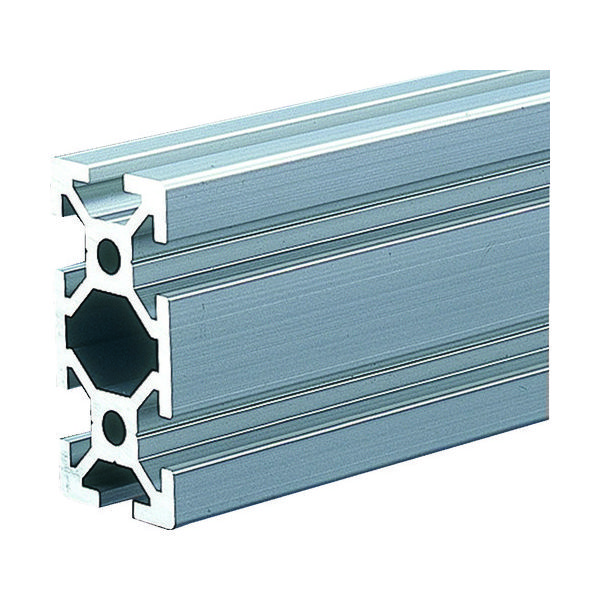 トラスコ中山 TRUSCO TSF20フレーム20X40ー100 TSF2040-100 1本 161-3452（直送品）