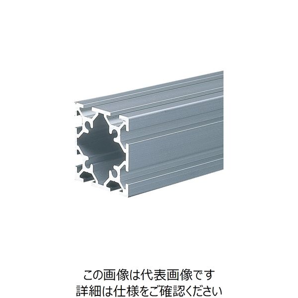 トラスコ中山 TRUSCO TSF20フレーム40X40ー600 TSF40402S-600 1本 161-3471（直送品）