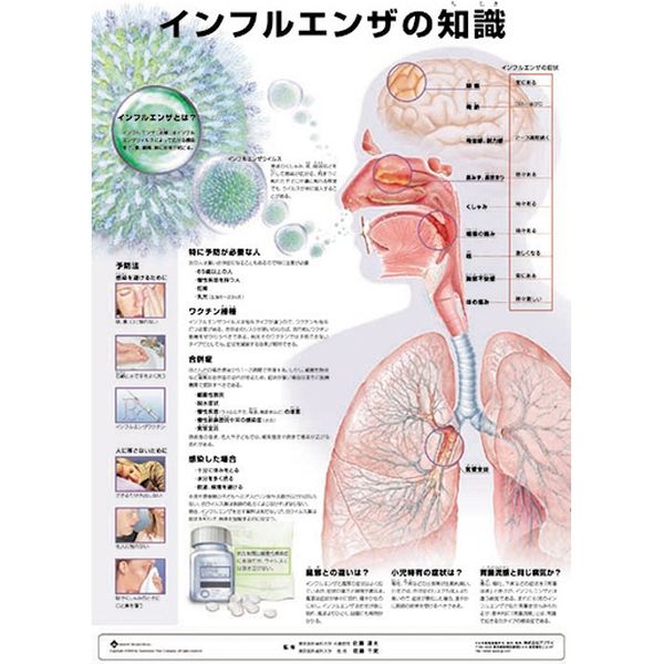 アプライ ミニポスター インフルエンザの知識 J8859P 1セット（直送品）