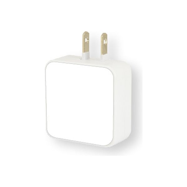 グルマンディーズ USB２ポート　ACアダプタ　ホワイト FSA-01WH 1個（直送品）