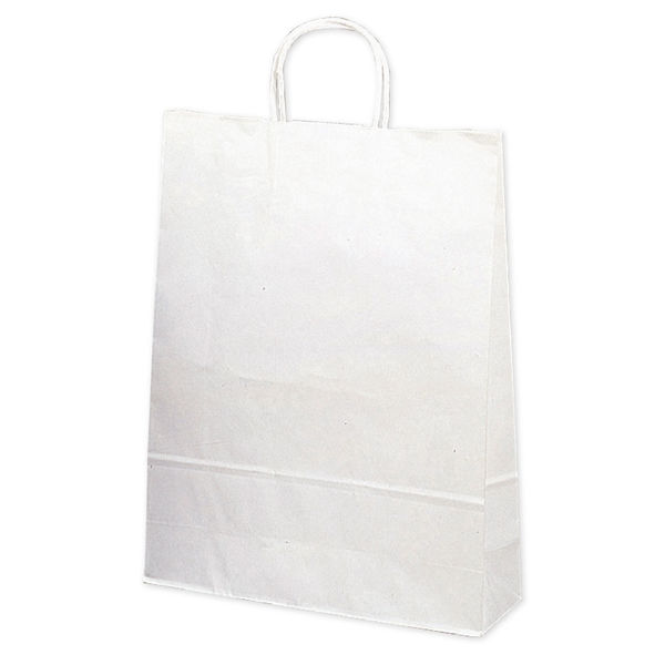 ササガワ 手提げバッグ １０Ｐ白無地 大 50-6300 1包 【10枚袋入】（取寄品）