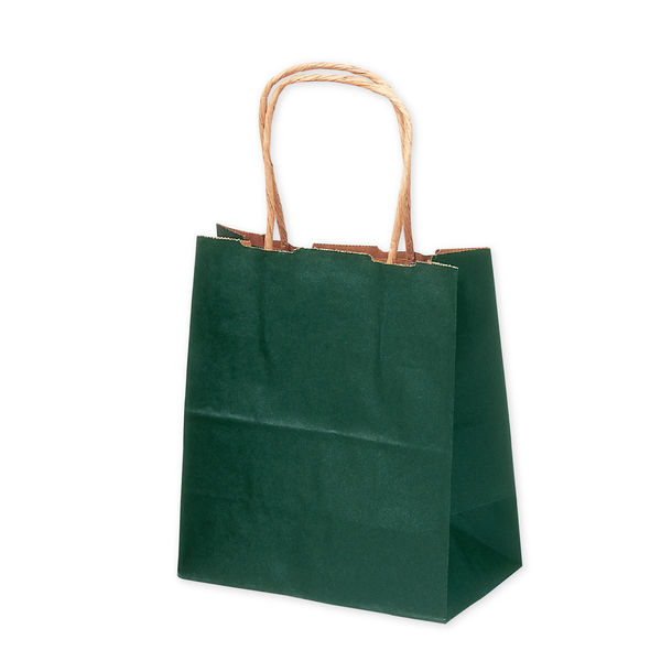 ササガワ 手提げバッグ １０Ｐ緑 特小 50-6911 1包 【10枚袋入】（取寄品）