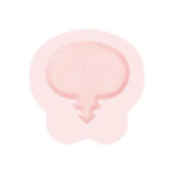 ドレッシング 新しい創傷管理  改訂/へるす出版/倉本秋（大型本） 褥瘡・創傷のドレッシング材・外用薬の選び方と使い方 第2版