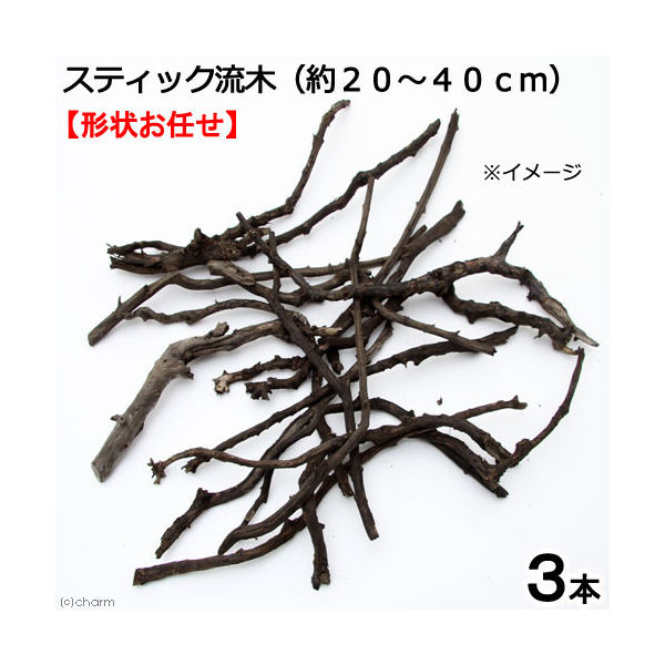 形状お任せ 煮込み済み スティック流木(約20~40cm
