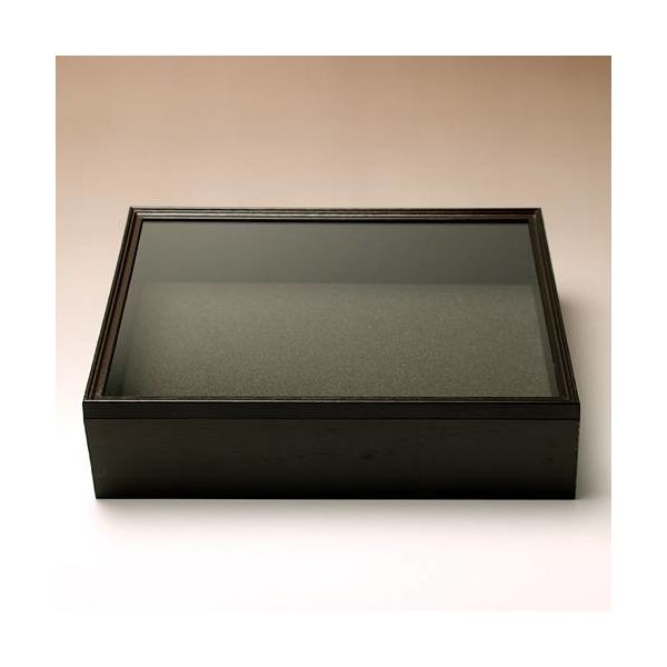 シーラケース シーラ箱 (ブラック) 昆虫 標本用品 2250000451458 1個（直送品）