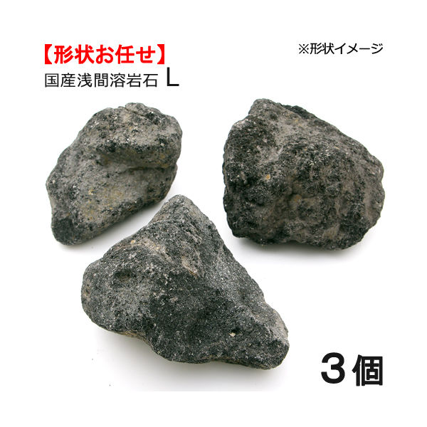国産浅間溶岩石L(3ヶ) 約15~20cm 2250000514962 1個 国産浅間溶岩石L(3ヶ) 約15~20cm 2250000514962 1個
