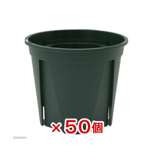 兼弥産業 スリット鉢 ＥＵＰＯＴ １０ｃｍ モスグリーン ５０個入り 102926（直送品） アスクル