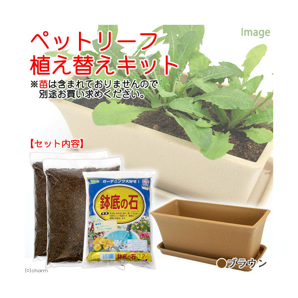 ペットリーフ植え替えキット　ブラウン  2250002011667 1個（直送品）