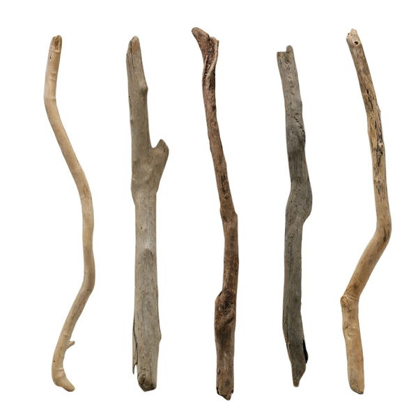 超特大流木 自然流木 大 の通販 | ホームセンター コメリドットコム