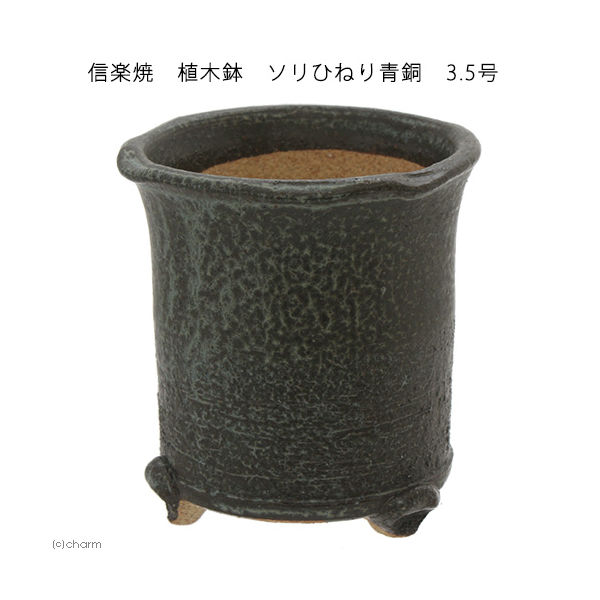 かみ山陶器 信楽焼　植木鉢　ソリひねり青銅　多肉 2250002259694 1個（直送品）