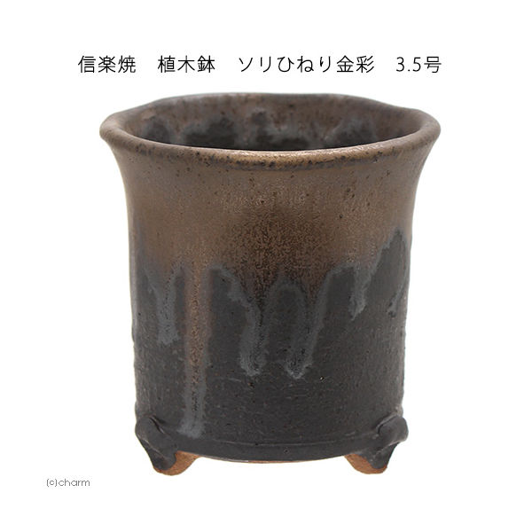 かみ山陶器 信楽焼 植木鉢 ソリひねり金彩 多肉 2250002259885 1