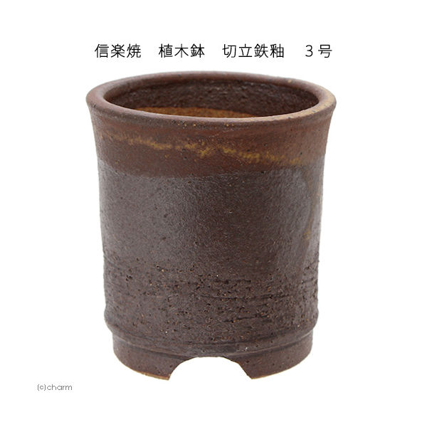 かみ山陶器 信楽焼　植木鉢　切立鉄釉　多肉 2250002259892 1個（直送品）