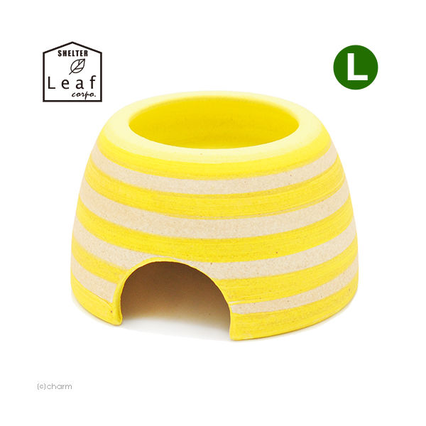 SHELTER×Leaf Corporation ボーダーウェットシェルター レモン SHELTER×Leaf Corporation ボーダーウェットシェルター レモン