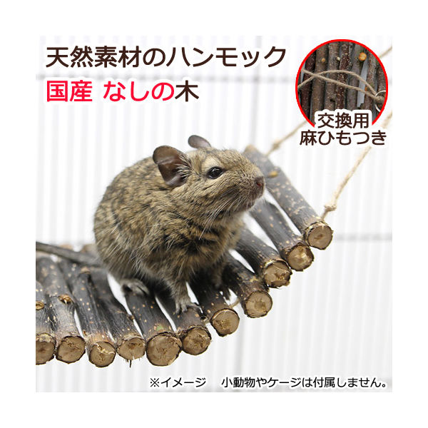 デグーかじり木 デグーおもちゃ 小動物かじり木 - おもちゃ