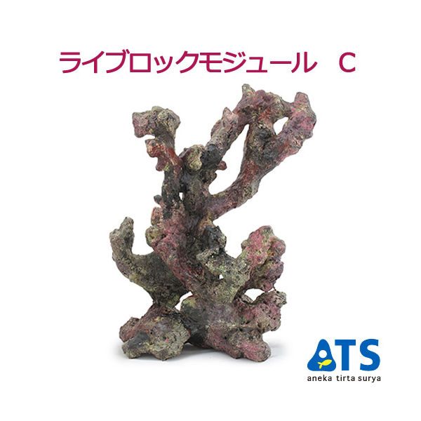 ATS ライブロックモジュール　Ｃ　アクアリウム　擬岩 4540103650628 1個（直送品）