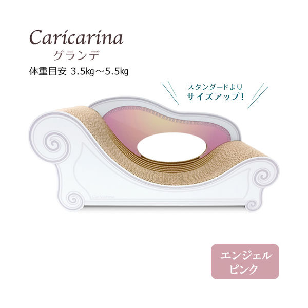 アイル ベーシック　Ｃａｒｉｃａｒｉｎａ　Ｂａｓｉｃ　グランデ 4562374750029 1個（直送品）