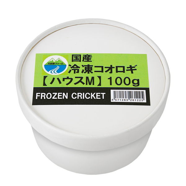冷凍クロコML約200匹100g冷凍コオロギ - 爬虫類・両生類用品