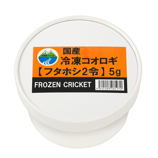 冷凍クロコL約1000匹1kg冷凍コオロギ - 爬虫類・両生類用品