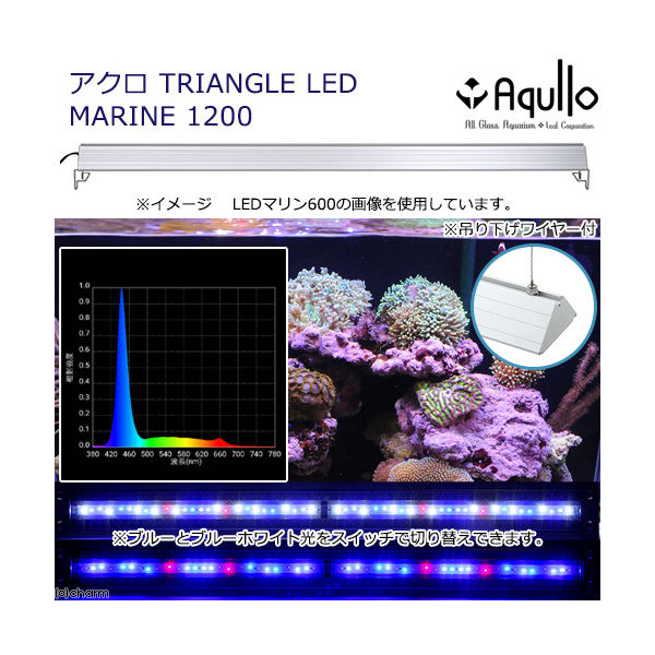 アクロ ＴＲＩＡＮＧＬＥ ＬＥＤ ＭＡＲＩＮＥ １２００１２０ｃｍ水槽用