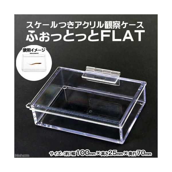 エーワン ふぉっとっとＦＬＡＴ　（１００×２５×７０ｍｍ）　観察　撮影　ケース 4582197132772 1個（直送品）