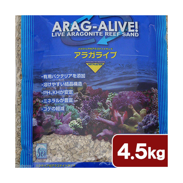 神畑養魚 カリブシー　アラガライブ　フロリダクラッシュコーラル 4971664433168 1個（直送品）