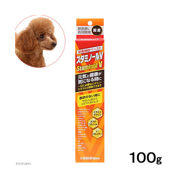 アース・ペット スタミノールＶ　１００ｇ 4994527860901 1個（直送品）