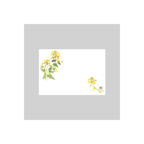 テーブルマット　尺３寸　Ｎｏ．２６６　菜の花　10冊（1000枚入） 72000266　カミイソ産商（直送品）