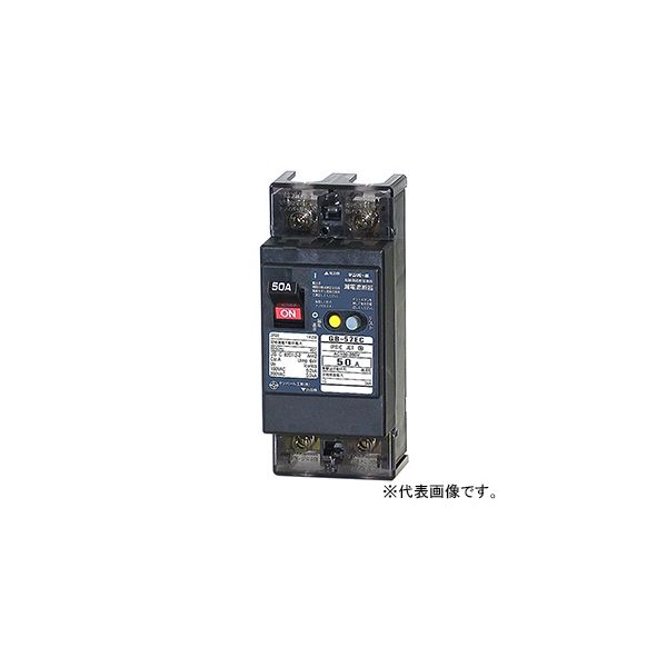 テンパール工業 経済タイプ漏電遮断器 52EC3030 1個（直送品）