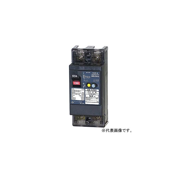 テンパール工業 漏電遮断器 52EC1530 1個（直送品）