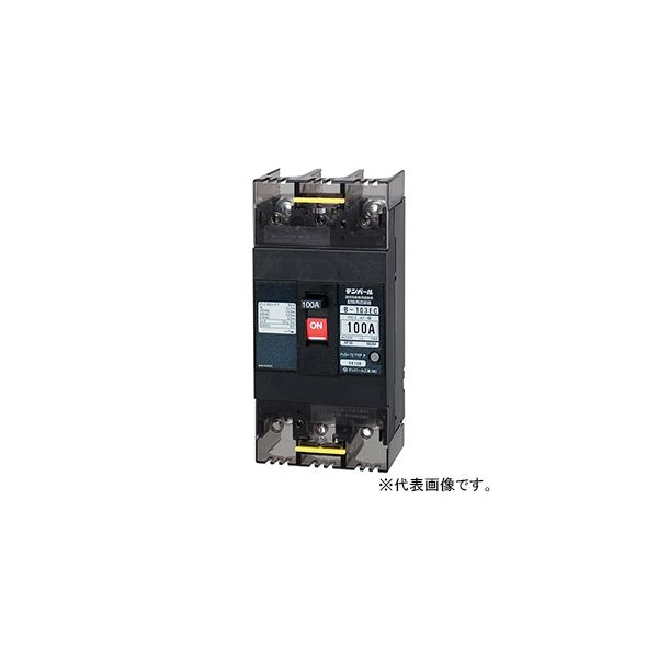 テンパール工業 経済タイプ配線用遮断器 B103EC10 1個（直送品