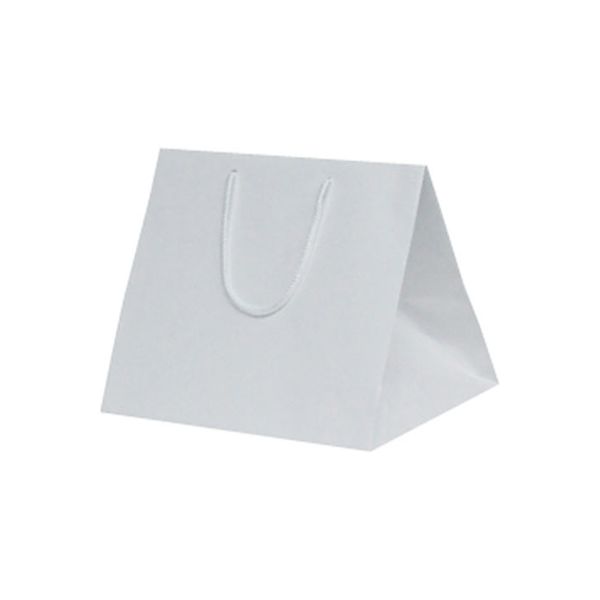 ベルベ 1166 ファインバッグ 260ワイド 50枚(10×5) 1ケース(50枚入(10枚×5袋))（直送品）