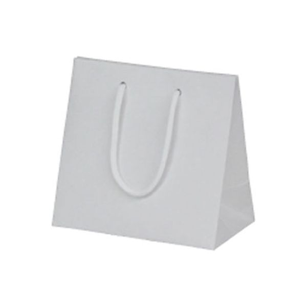 ベルベ 1757 ハンディーバッグ リッテ(Liーte) ホワイトー3 120枚(10×12) 1ケース(120枚入(10枚×12袋))（直送品）