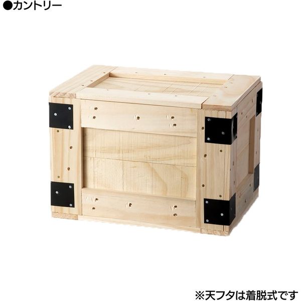 ダンデライオン　A梱包BOX　(M)　無塗装　119-10109　1台（直送品）