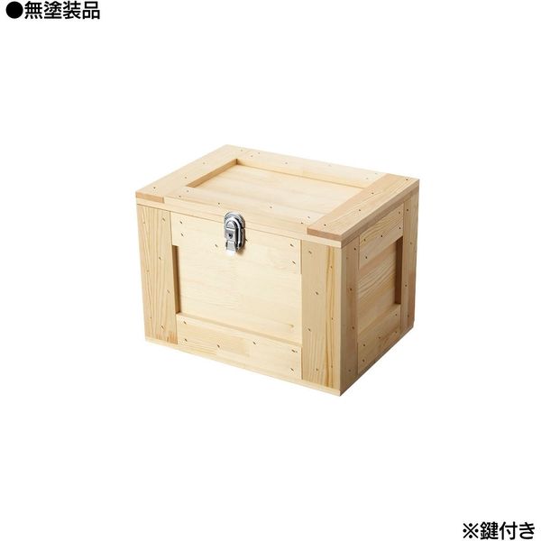 ダンデライオン　鍵付収納BOX 　無塗装　(文字無し)　119-90037　1台（直送品）
