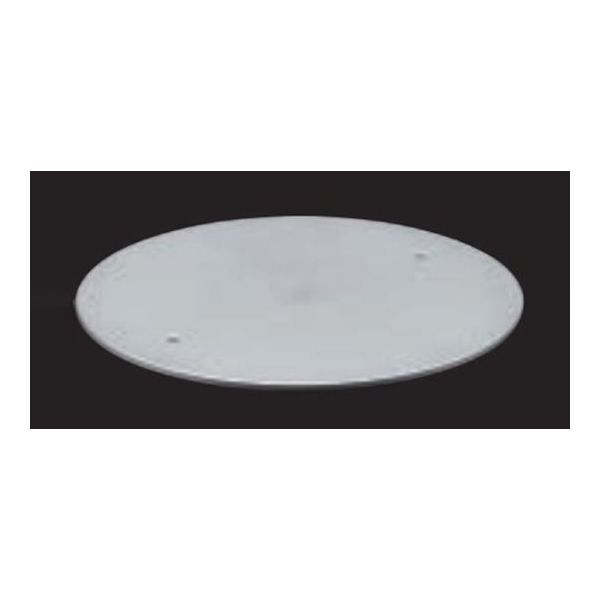 東京理化器械 ディスクプレート(φ135×3mm) RCHー1000型用 BBS-135FDP 1個 65-0576-06（直送品）