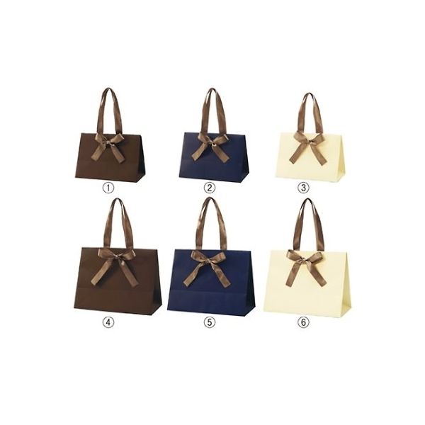 アズワン 手提げ紙袋 ノブレス S ネイビー 61-7311-99 1セット(10枚)（直送品）