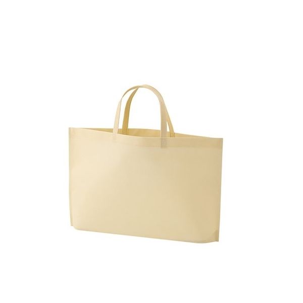 アズワン 不織布バッグ 底マチA4横 ベージュ 63-1290-47 1箱(100枚)（直送品）