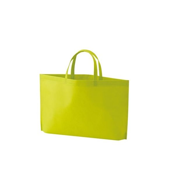 アズワン 不織布バッグ 底マチA4横 マスカットグリーン 63-1290-53 1箱(100枚)（直送品）