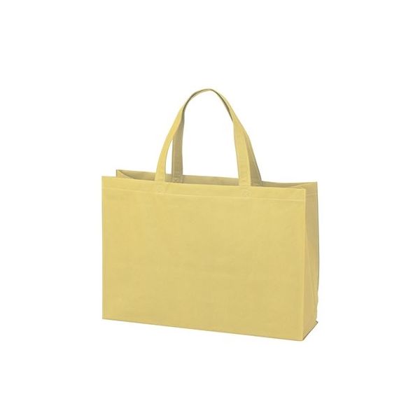 アズワン 不織布バッグ 角底中横 ベージュ 63-1290-75 1箱(100枚)（直送品）