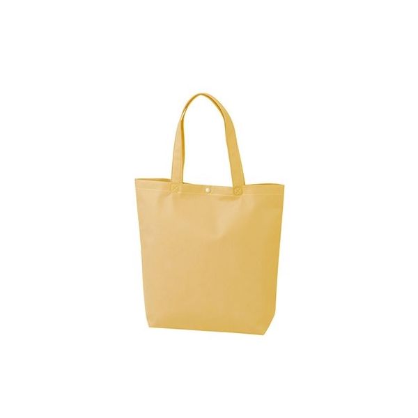 アズワン 不織布バッグ 船底ホック付きA4縦 ベージュ 63-1291-30 1箱(100枚)（直送品）