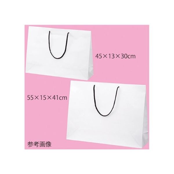 アズワン マット貼り紙袋 白 55×15×41cm 50枚 63-3385-65 1箱(50枚)（直送品）