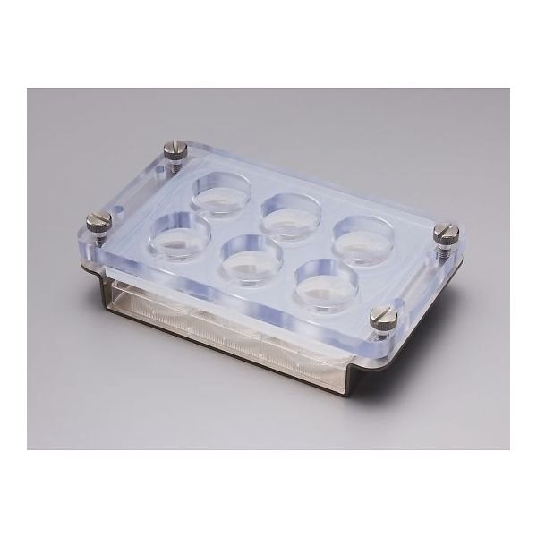 サンプラテック iPーTECR灌流アタッチメント 6ウェルプレート用ホルダー 6wellーH 30526 1個 64-3697-02（直送品）